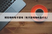 娱乐场所电子游戏（电子游戏场所是什么）
